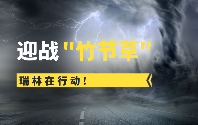 竹节草过境，，long8官方网站人未停！！从应急响应到深度复盘的全链守护