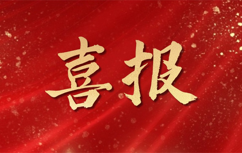 【重磅喜报】long8官方网站科技荣膺2026年度市级专精特新软件“名企”！
